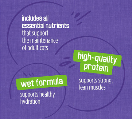 Product Image 7 - Purina Friskies Pate W