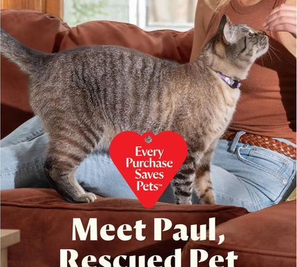 Product Image 7 - BISSELL Little Green M