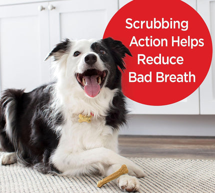 Product Image 5 - Milk-Bone Original Bru