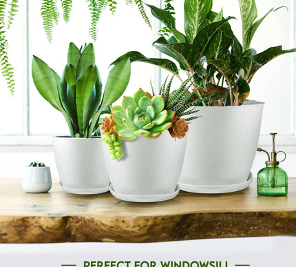 Product Image 6 - Utopia Home Plant Pots