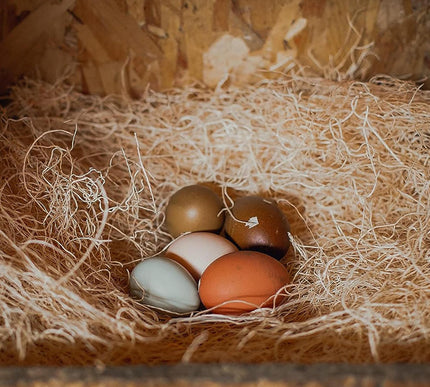 Product Image 6 - Eaton Pet and Pasture 