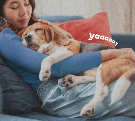 Product Image 6 - ADAMS Flea & Tick Home